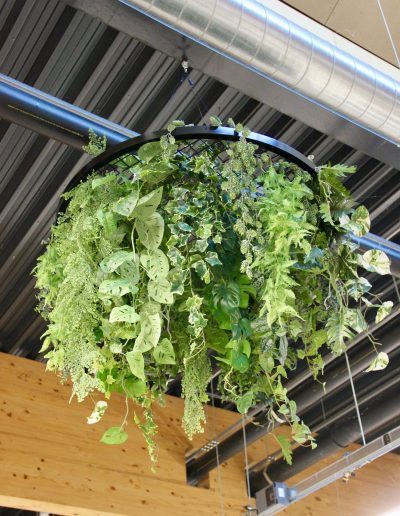Kunstbeplanting_WeenerXL_hangend6