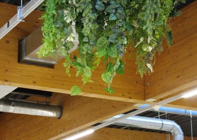 Kunstbeplanting_WeenerXL_hangend7