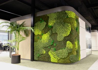 Interieurbeplanting_Mansveld_groene