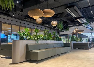 Interieurbeplanting_Mansveld_groene-werkplek_planten