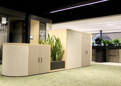 Interieurbeplanting_Mansveld_groene-werkplek_planten_architect