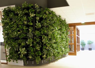 Interieurbeplanting_Mansveld_groene