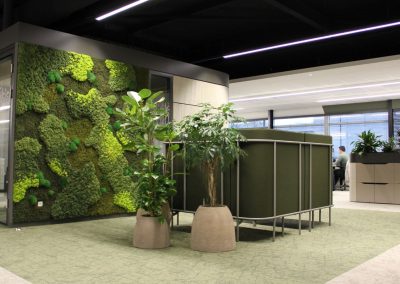 Interieurbeplanting_Mansveld_groene-werkplek_planten_moswand
