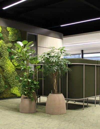 Interieurbeplanting met een moswand in een moderne kantooromgeving