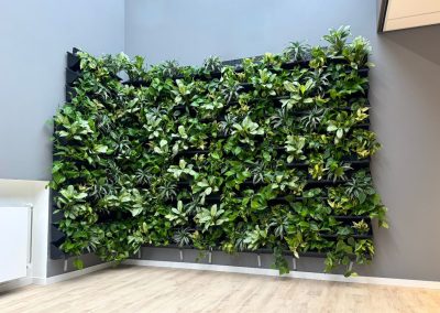 Interieurbeplanting_Mansveld_groene_wand