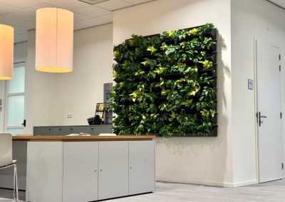 Interieurbeplanting_gemeente_entree_groene_wand