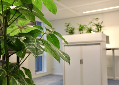 Interieurbeplanting_gemeente_groen_kantoor