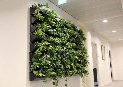 Interieurbeplanting_gemeente_groene_wand