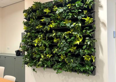 Interieurbeplanting_gemeente_groene_wand_plantenwand