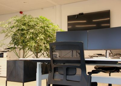 Interieurbeplanting_gemeente_groene_werkplek
