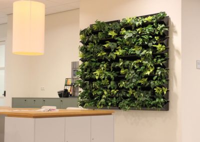 Interieurbeplanting_gemeente_groenewand