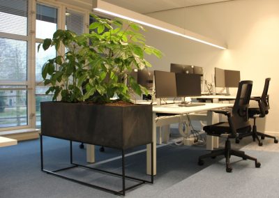 Interieurbeplanting_gemeente_planten_bureau_kantoor