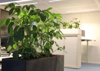 Interieurbeplanting_gemeente_planten_kantoor