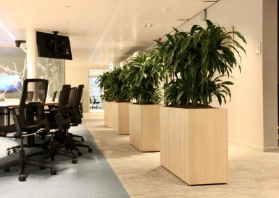 Interieurbeplanting_gemeente_planten_vergaderen