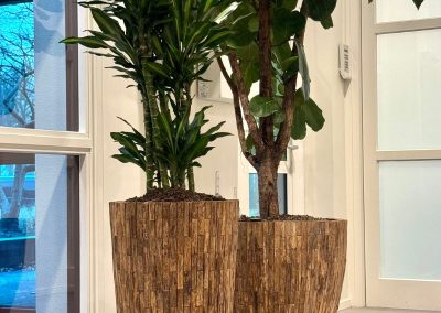 Interieurbeplanting_gemeente_plantenbakken