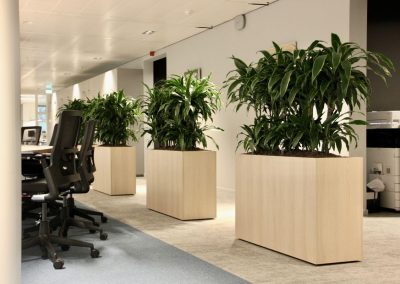 Interieurbeplanting_gemeente_plantenbakken_vergaderruimte