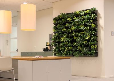Interieurbeplanting_gemeente_plantenwand
