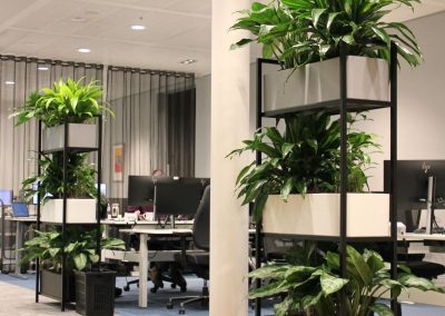 Interieurbeplanting_gemeente_roomdiver_bureau_werkplek