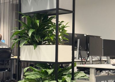 Interieurbeplanting_gemeente_roomdiver_plantenbak
