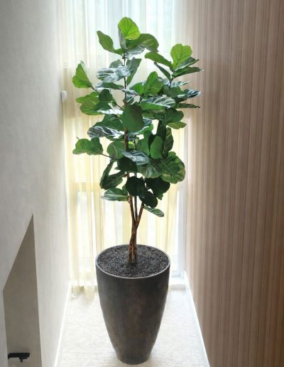 Interieurbeplanting_kunstplanten_ficuslyrata_3meter