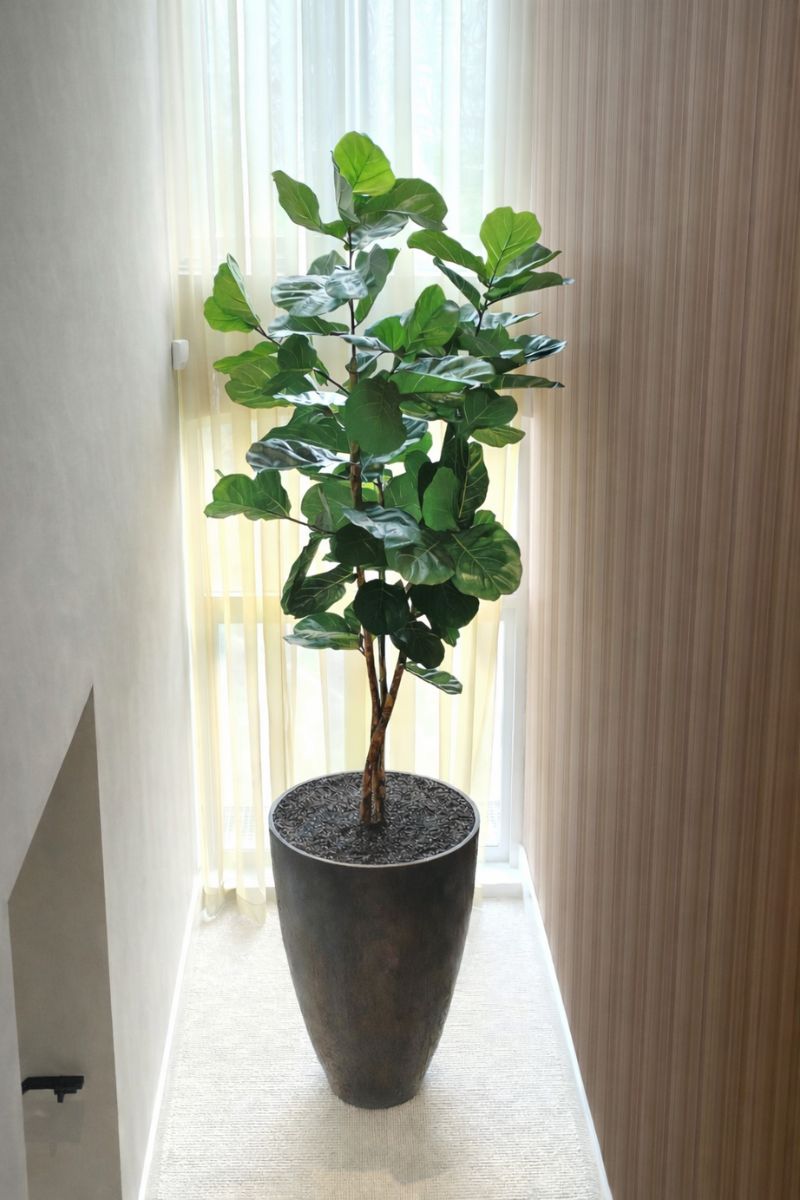 Interieurbeplanting_kunstplanten_ficuslyrata_3meter Interieurbeplanting_kunstplanten_ficuslyrata_3meter