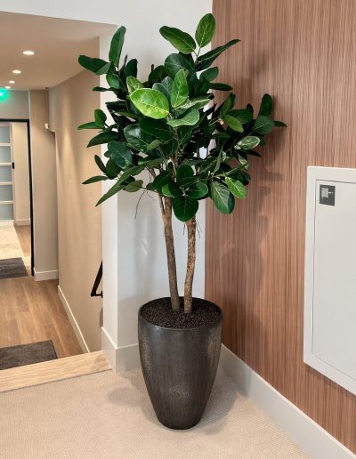 Kunstplant_exclusief_planten