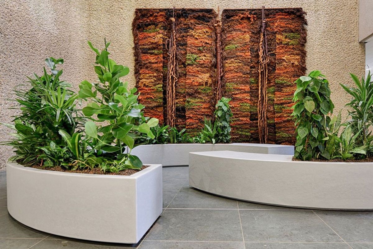 Interieurbeplanting maatwerk in kantooromgeving