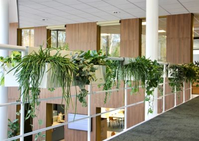 Interieurbeplanting - hangbeplanting - mix