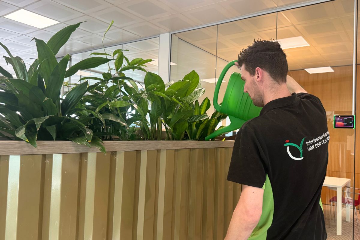Interieurbeplanting-onderhoud