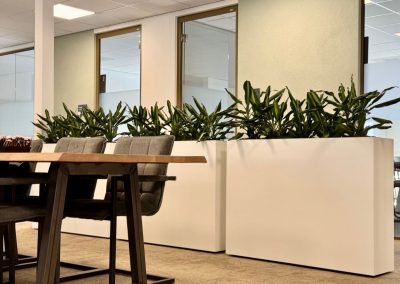 interieurbeplanting - afscheiding met planten