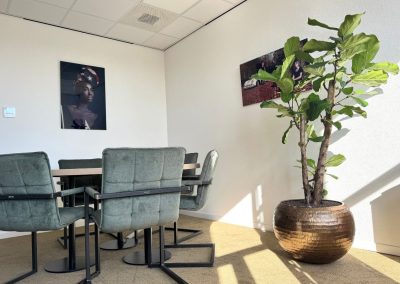 interieurbeplanting - plant op kantoor