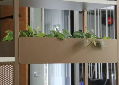 Interieurbeplanting_kantoorbeplanting_detail