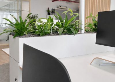 Interieurbeplanting_kantoorbeplanting_kast_bureau