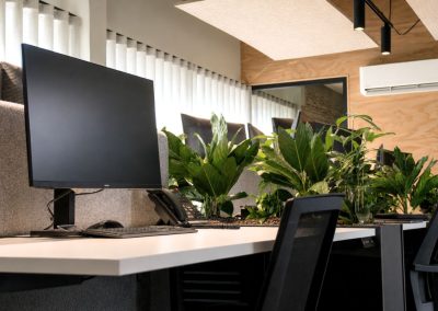 Interieurbeplanting_kantoorbeplanting_plantentussenbureau
