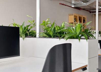 Interieurbeplanting_kantoorbeplanting_werkplek