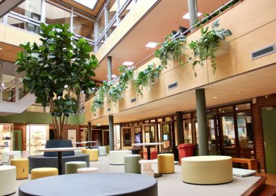 Interieurbeplanting_Kempenhorst_College_grote