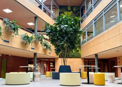 Interieurbeplanting_Kempenhorst_College_groteboom_moswand