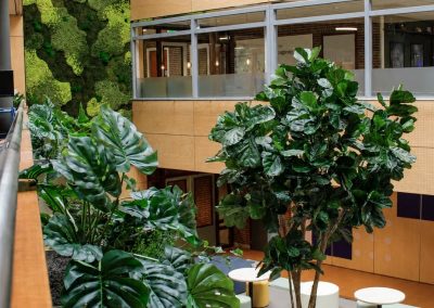 Interieurbeplanting_Kempenhorst_College_hangbeplanting