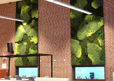 Interieurbeplanting_Moswanden_Kempenhorst_College