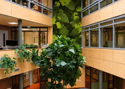 Interieurbeplanting_groteboom_kempenhorst_college