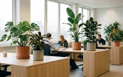 Kantoorplanten en gezondheid