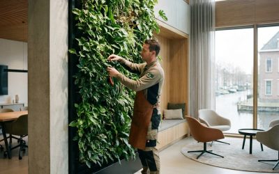 Plantenwand onderhoud