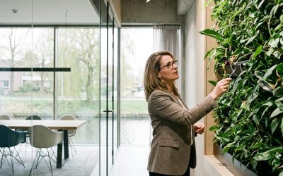 Plantenwand kosten