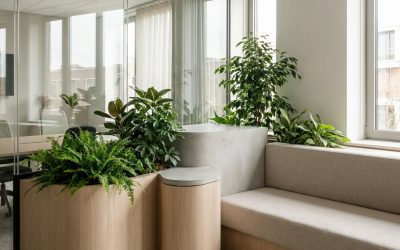 De voordelen van maatwerk plantenbakken