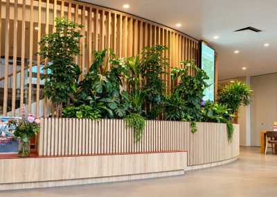 Interieurbeplanting_VanderVleuten_Spectrum_Entree