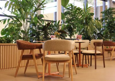 Interieurbeplanting_VanderVleuten_Spectrum_planten