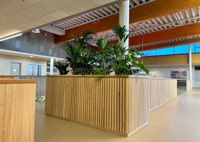 Interieurbeplanting_VanderVleuten_Spectrum_plantenbak